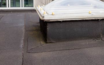 disadvantages of Evershot flat roofs