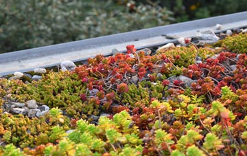 the cost of Evershot green roof installation