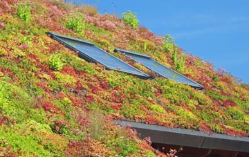 Evershot living roof systems